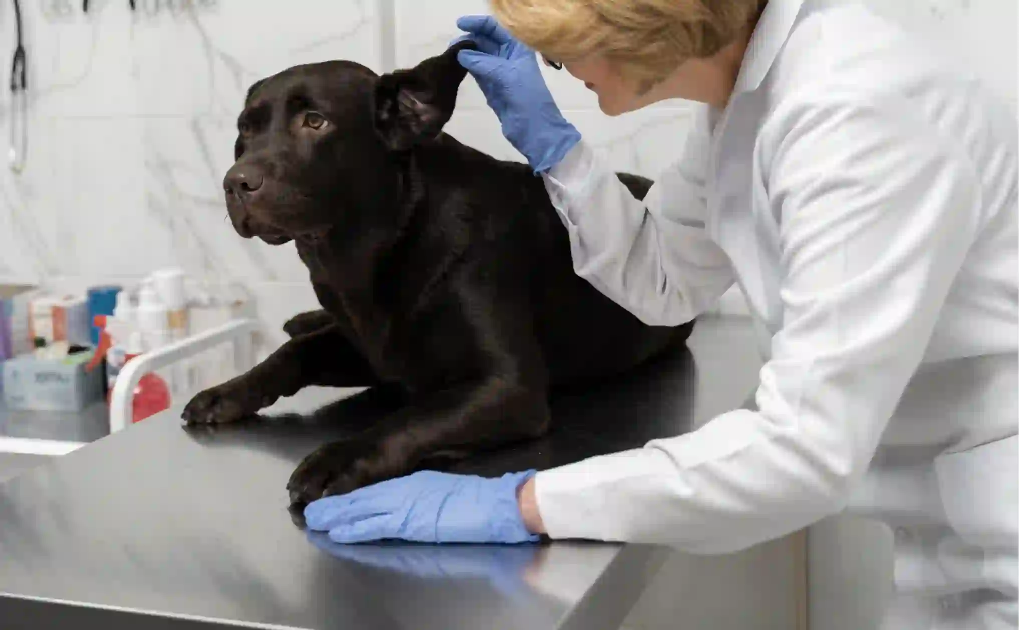 The Liquid Biopsy Revolution