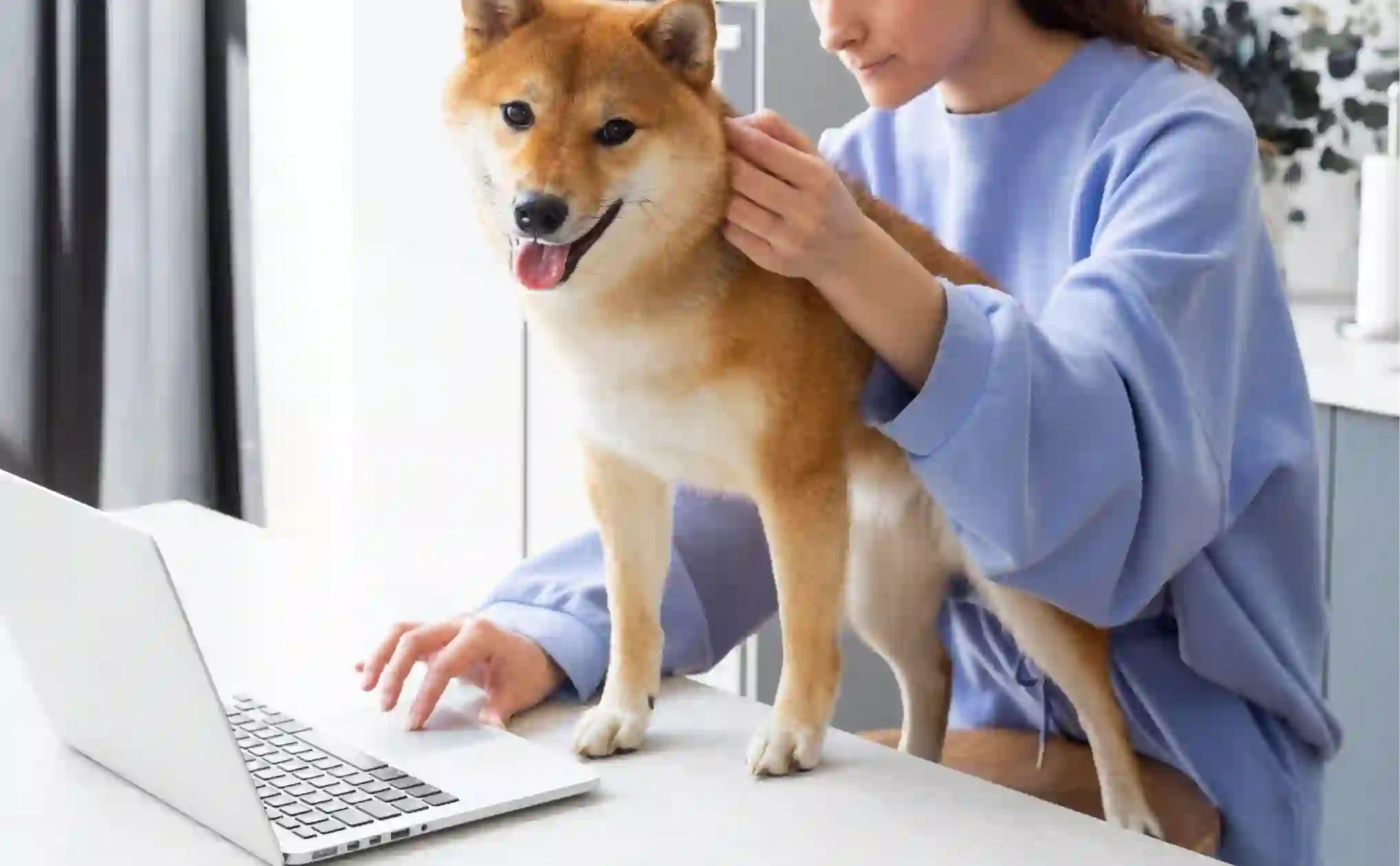 Choosing the Right Software for Your Practice