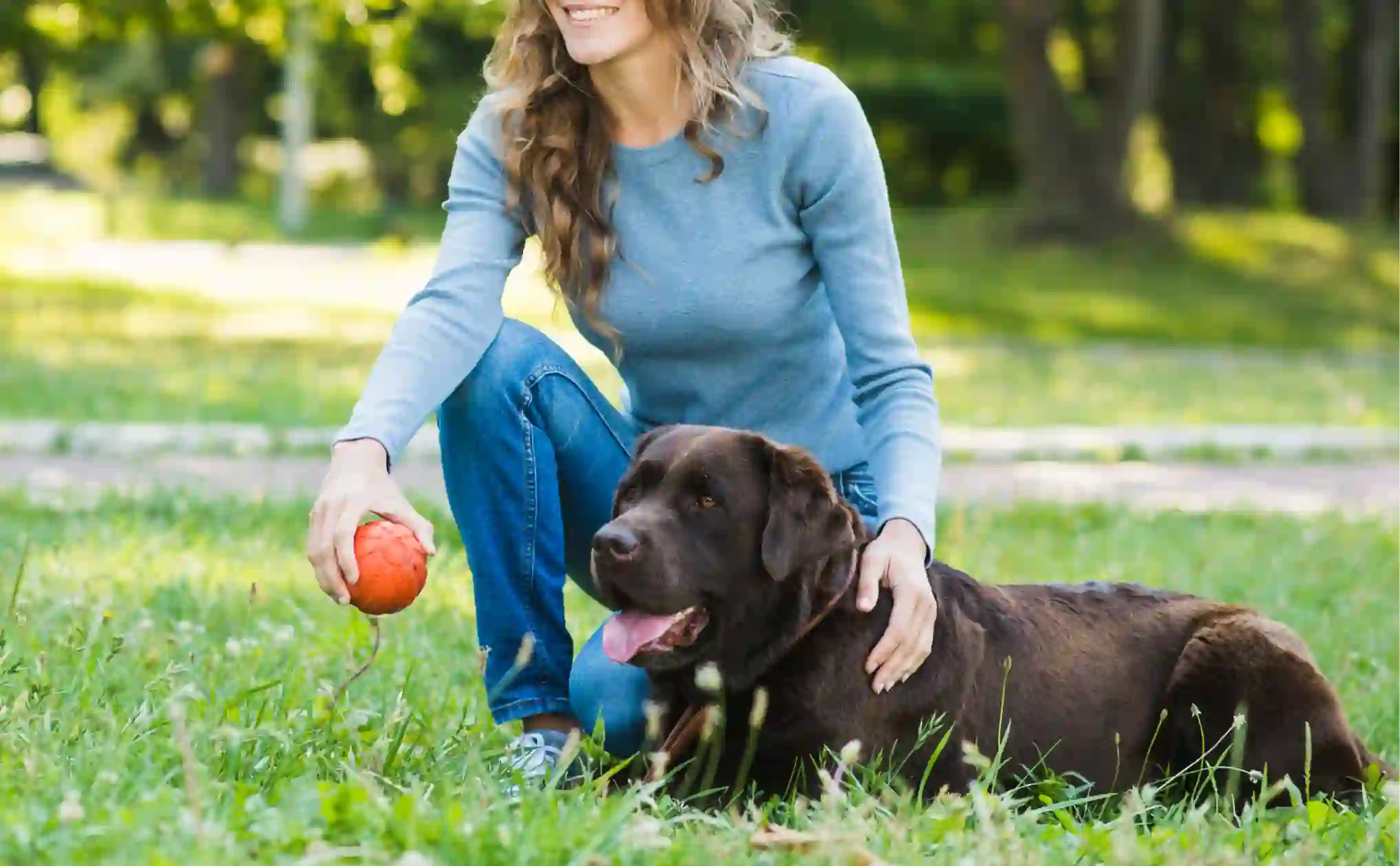 Understanding Canine Obesity