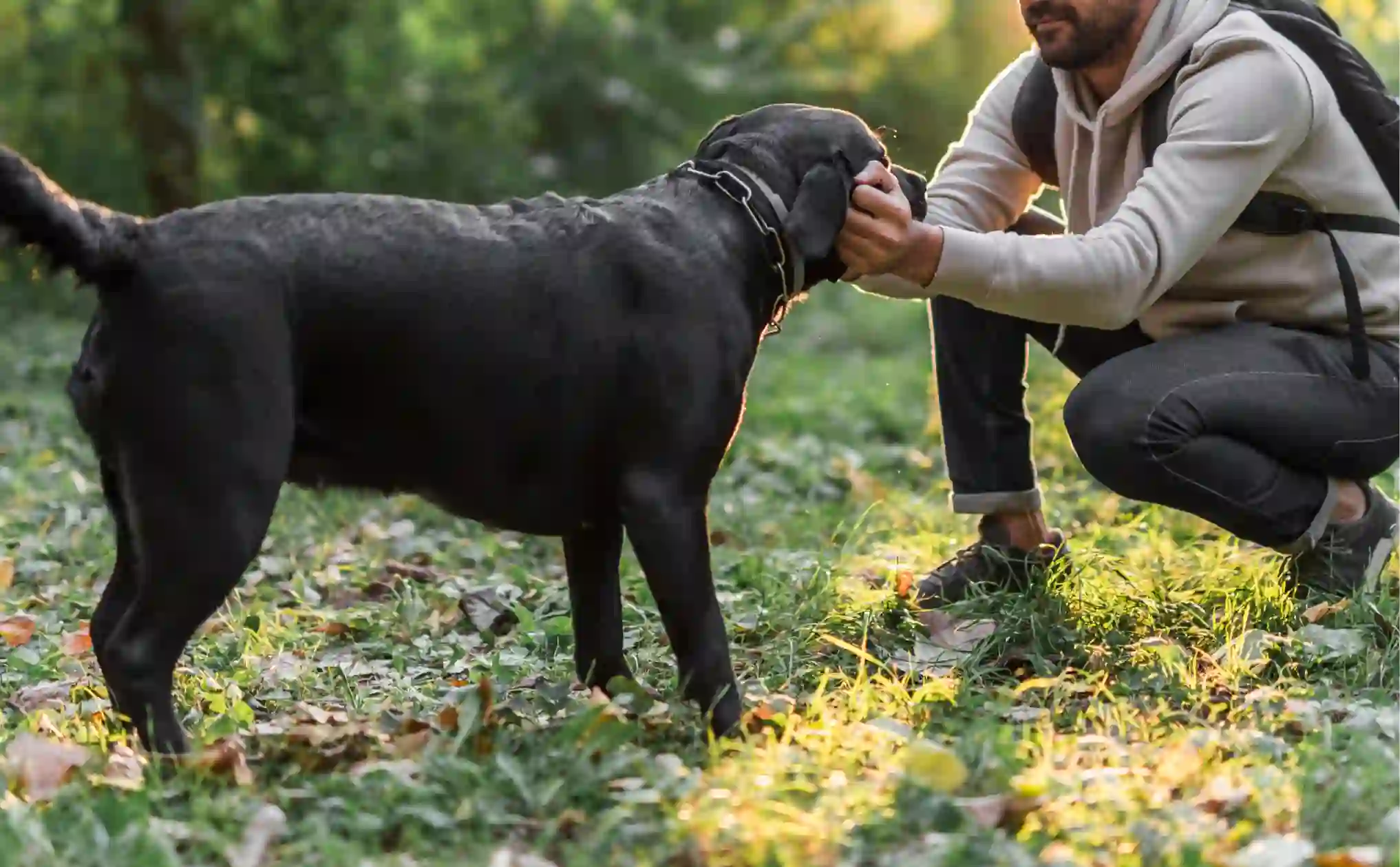 Public Health and Broader Impact