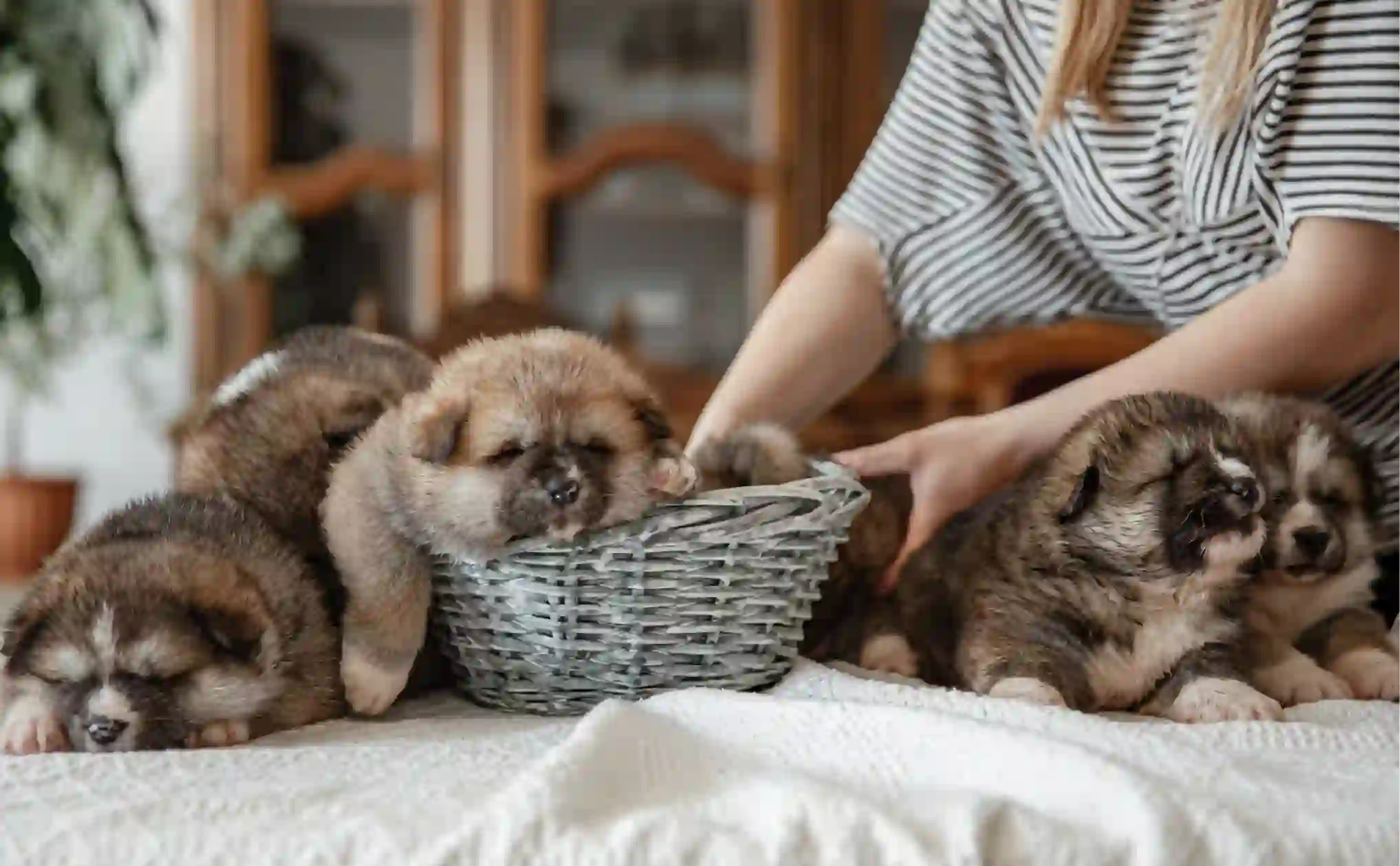 First-Year Health Timeline