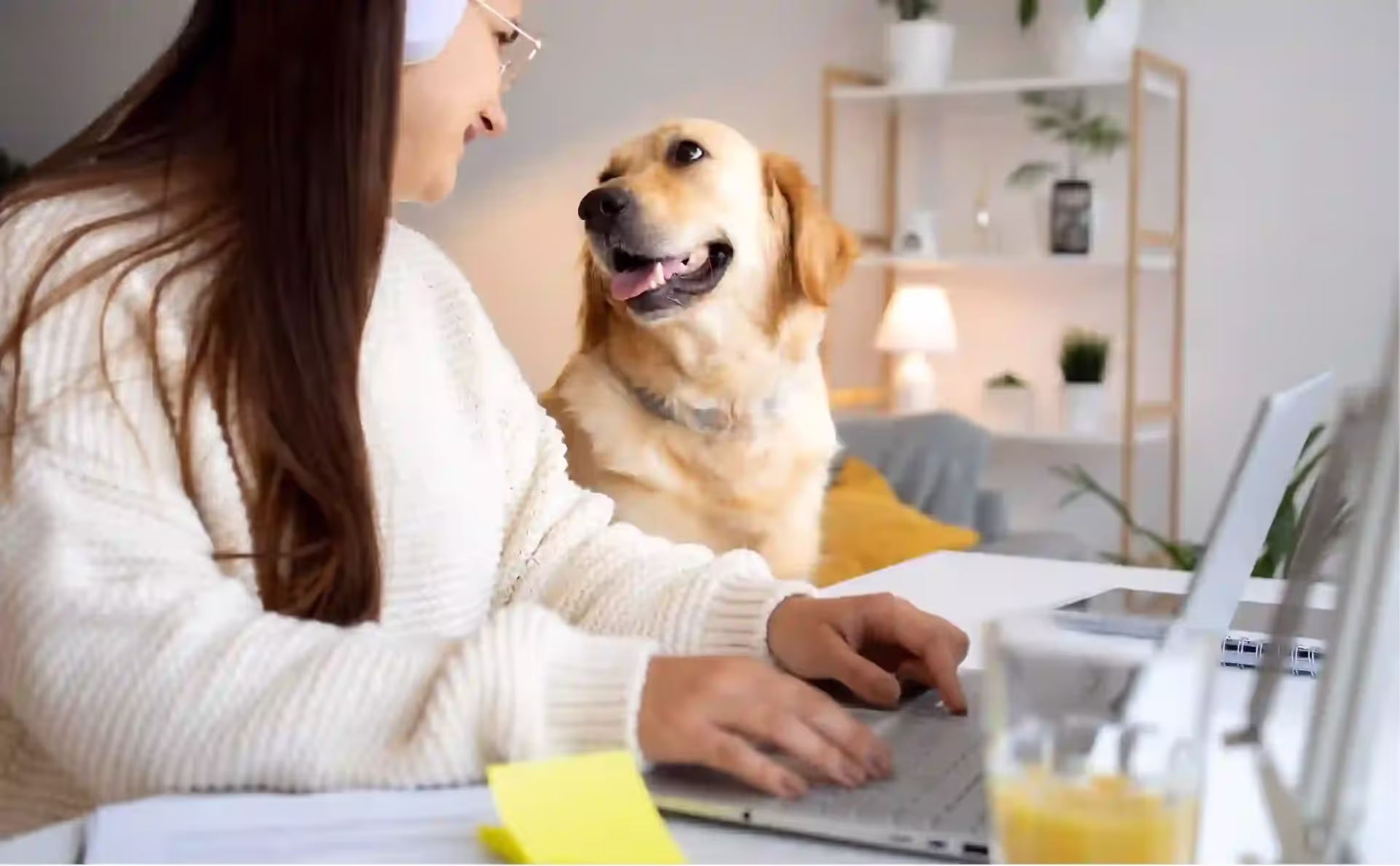 Pet Insurance in America: Enrollment Growth, Claims, and Vet Impact