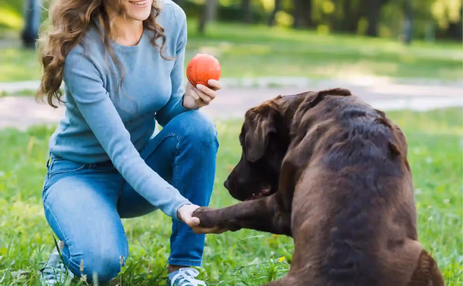 Canine Obesity: Nutrition, Activity Targets, and Owner Coaching