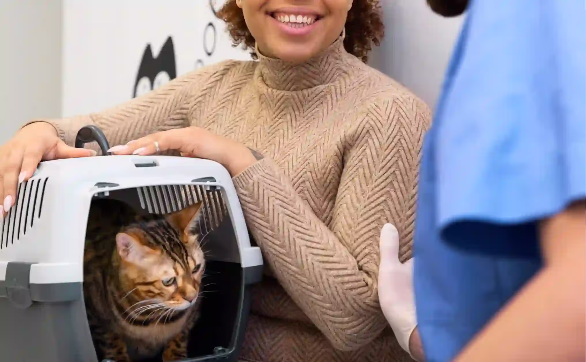 Total Market Value & Segmentation