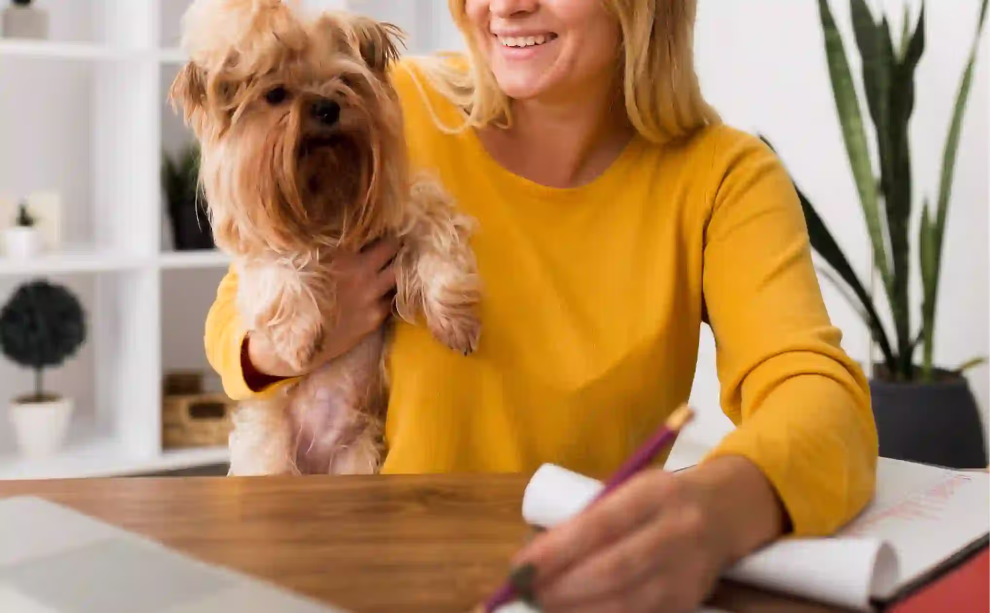 Compliance and Legal Considerations