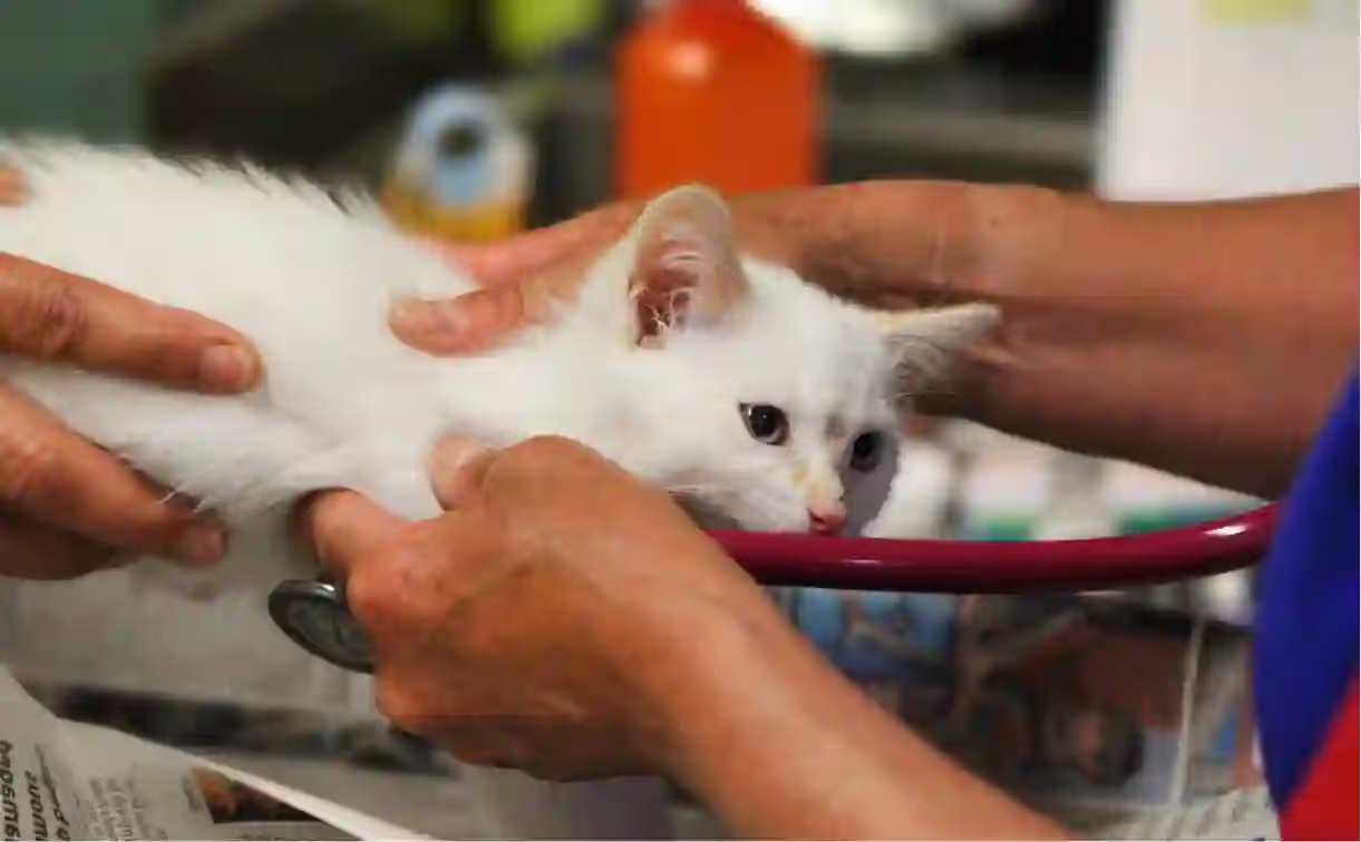 Understanding Your Needs