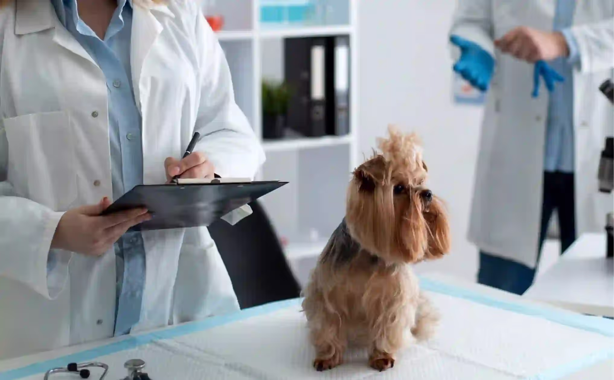 How AI Works in Veterinary Applications