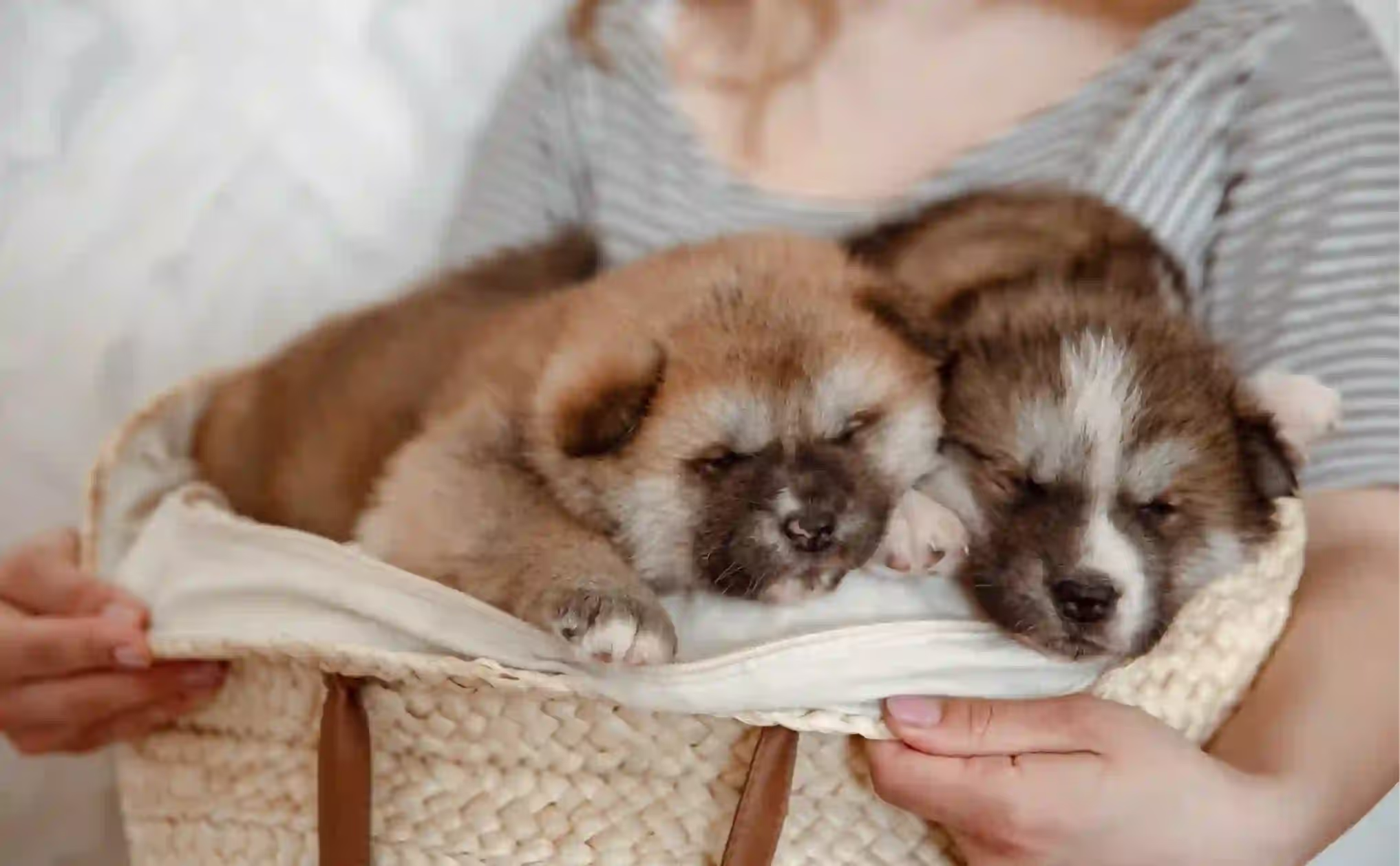 Building Lifelong Health from the First Year