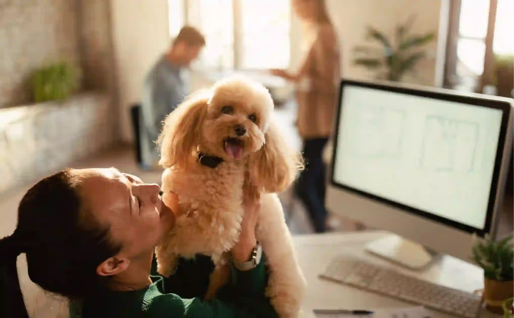 Pet Insurance Market Overview