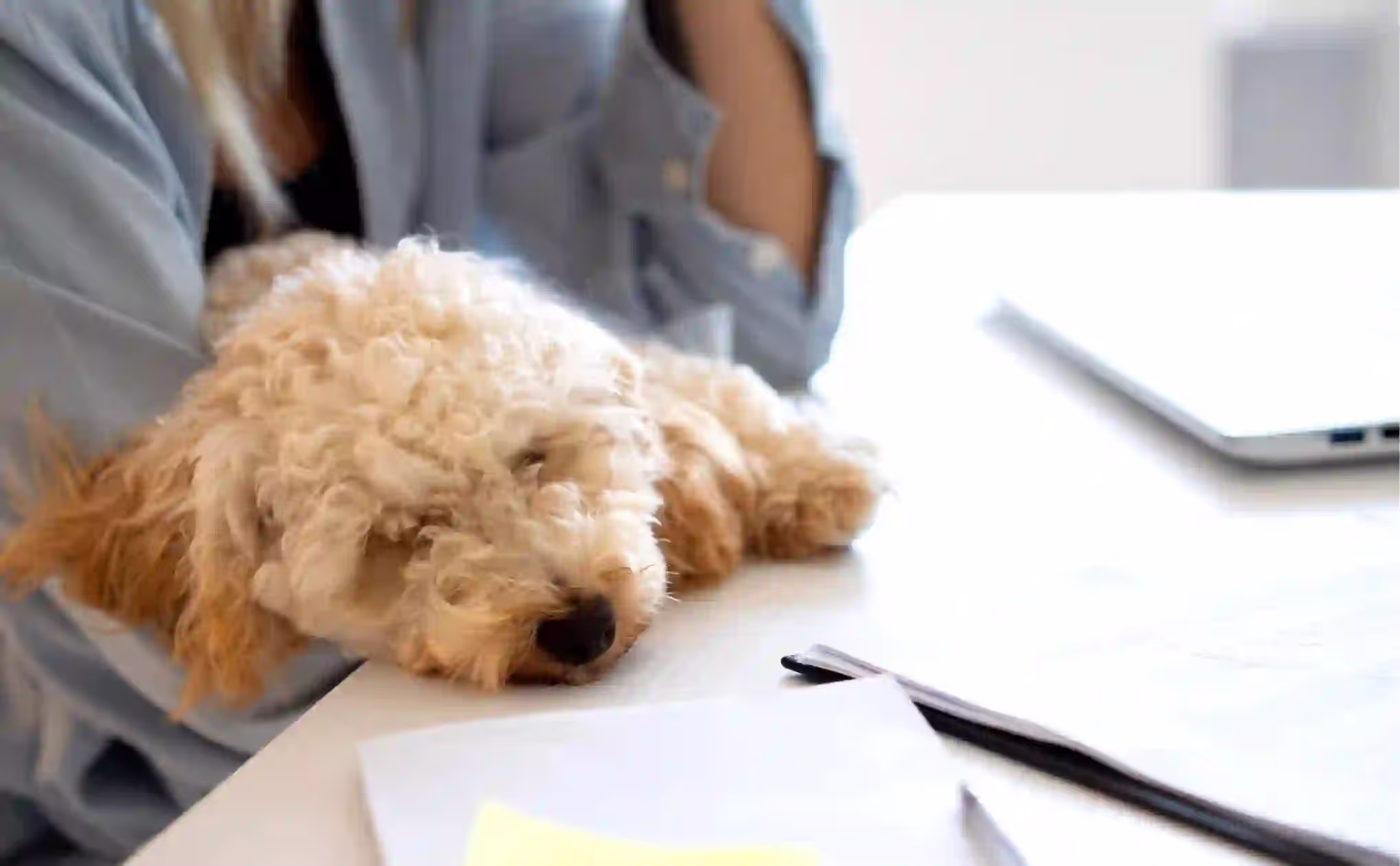 The Role of Technology and Data