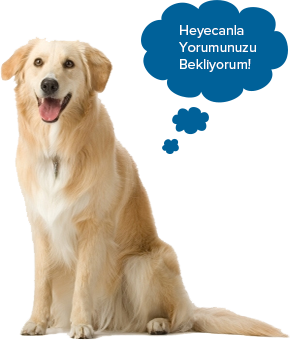 Vet Çizmeli Kedi Veteriner Kliniği